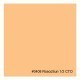Gelatina Cinegel 3408 Roscosun 1/2 CTO Rosco 2113408FLH